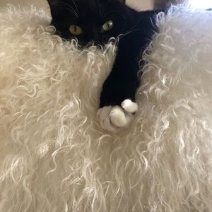 Meet your Posher, Sonya